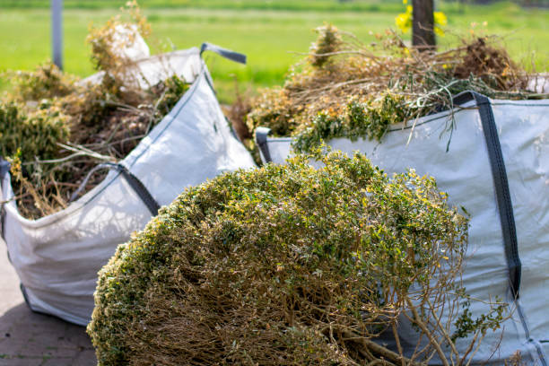 Best Yard Waste Removal  in Clton, IN