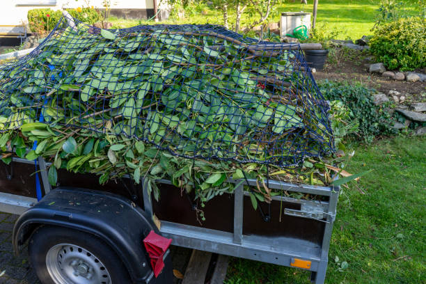 Best Estate Cleanout  in Clton, IN